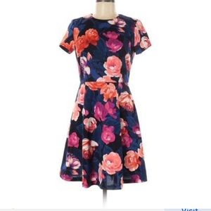 Eliza J. Ponte knit fit & flare floral dress size 14 new without tags
